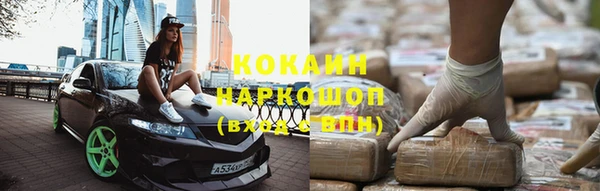 гашик Новодвинск