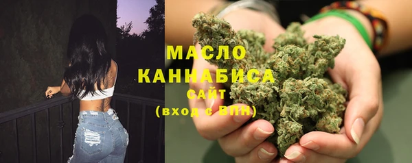 сатива Новокубанск