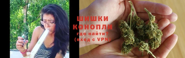 spice Новозыбков