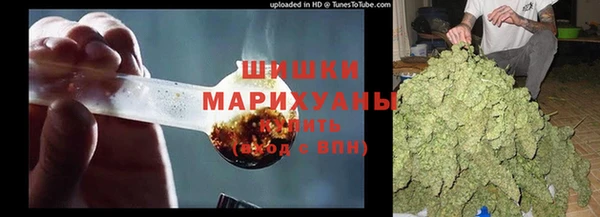 spice Новозыбков