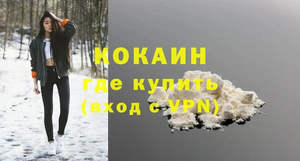 сатива Новокубанск