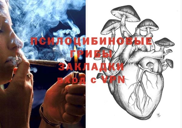 spice Новозыбков