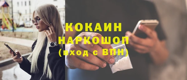 сатива Новокубанск