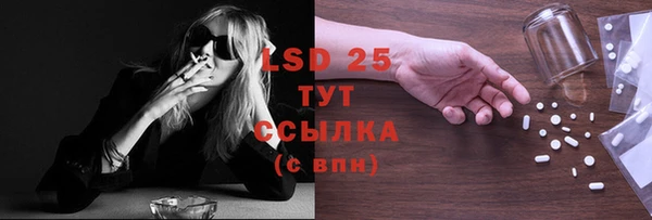 сатива Новокубанск