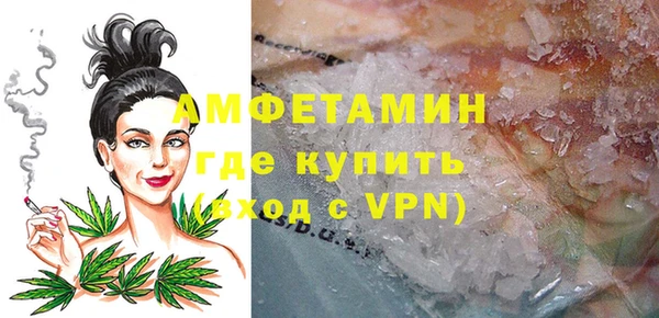 сатива Новокубанск