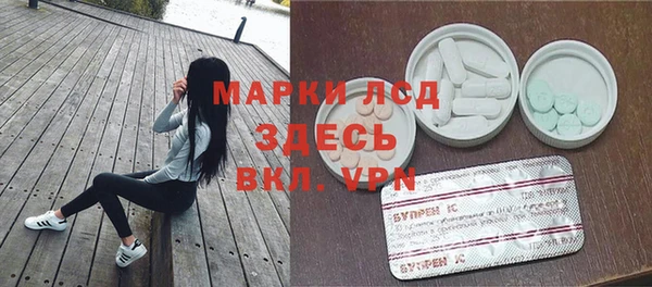 гашик Новодвинск