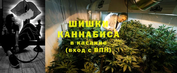 сатива Новокубанск