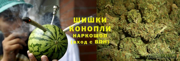 гашик Новодвинск