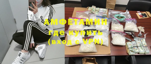 сатива Новокубанск