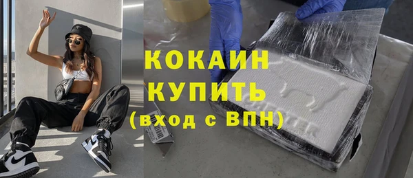 гашик Новодвинск