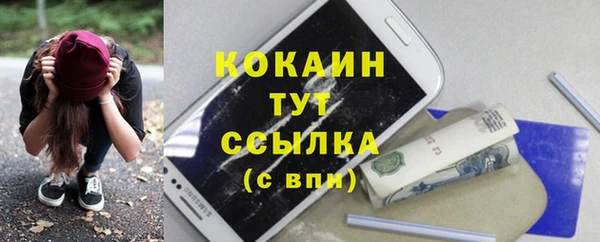 spice Новозыбков
